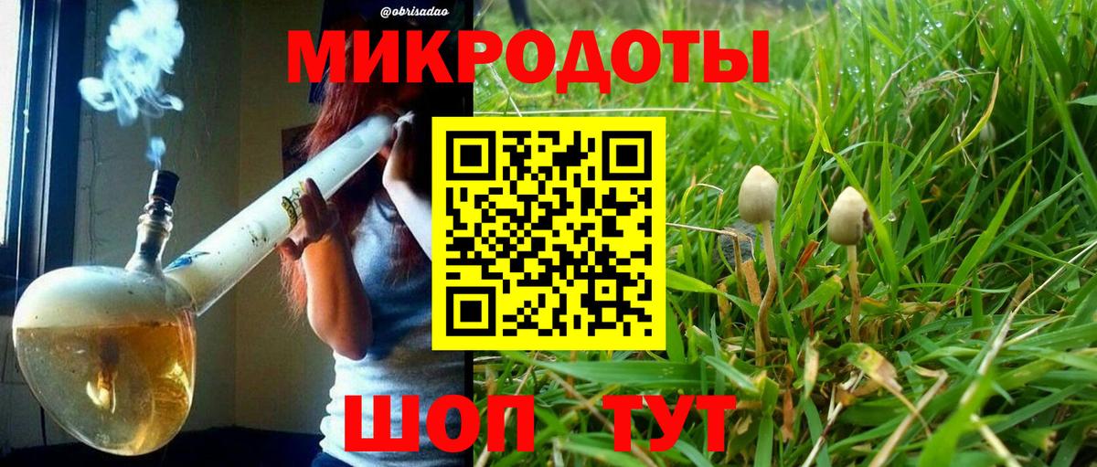 Псилоцибиновые грибы мицелий Зерноград