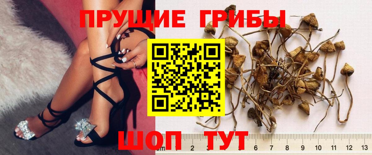 Зерноград  Галлюциногенные грибы мухоморы  Вход с VPN 